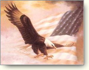 Bald Eagle over the Flag